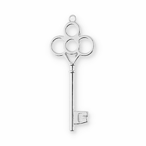 Bedels metaal sleutel Silver