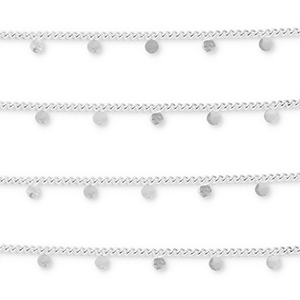Roestvrij stalen (RVS) Stainless steel onderdelen jasseron met muntjes Silver