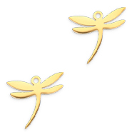 Roestvrij stalen (RVS) Stainless steel bedels libelle Goud