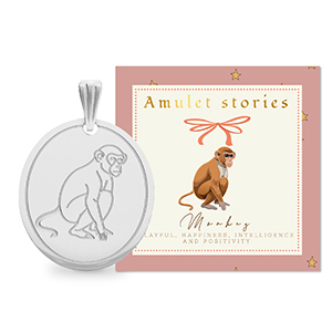 BY31&reg; Roestvrij stalen (RVS) Stainless steel bedels aap Silver