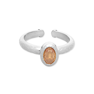Roestvrij stalen (RVS) Stainless steel ringen Silver-light orange
