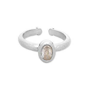 Roestvrij stalen (RVS) Stainless steel ringen Silver-transparent