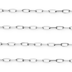 Roestvrij stalen (RVS) Stainless steel schakelkettingen Silver