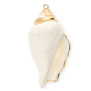Schelp hangers specials wulk White-gold