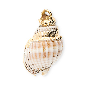 Schelp hangers specials wulk Off white-gold