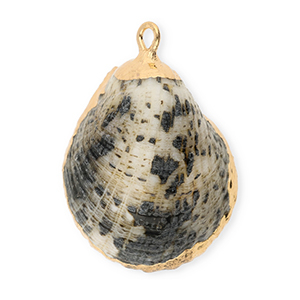 Schelp hangers specials Grey-gold