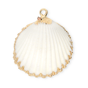 Schelp hangers specials kokkel White-gold