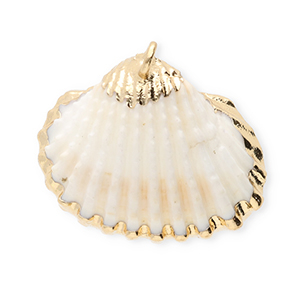 Schelp hangers specials Sint Jacobsschelp White-gold