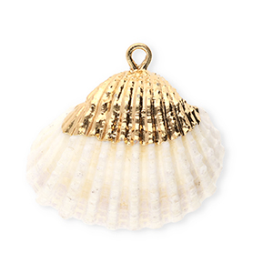 Schelp hangers specials kokkel Creamy white-gold