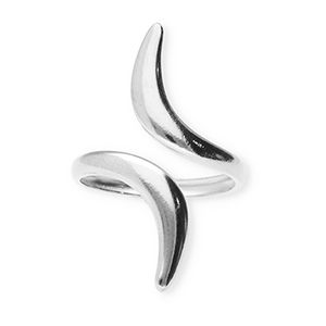 Roestvrij stalen (RVS) Stainless steel ringen Silver