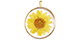Bedel 1 oog