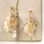 Maak fantastische sieraden en accessoires met onze nieuwe, trendy schelp hangers en jasseron!