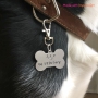 Inspiratie met ImpressArt stamp labels